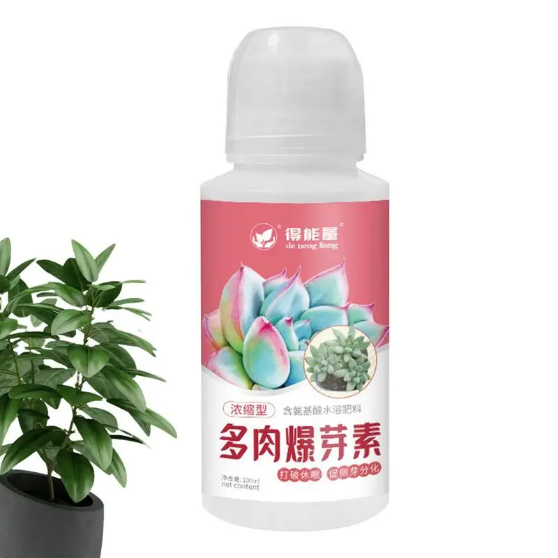 

Succulent Food Liquid Succulent Fertilizer Liquid Concentrate Succulent Growth Concentrate Amino Acid Boost Bud For Growing And