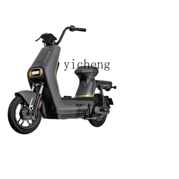 ZC 긴 내구성 전기 자전거, 국가 표준, 48V 12a 납산, 남녀공용 스쿠터 배터리 자동차, 신제품