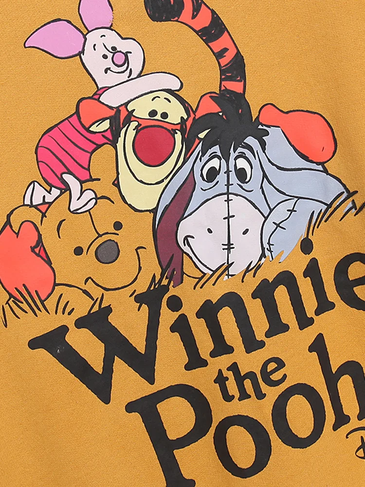 Disney Fleece Sweatshirt Casual Winnie the Pooh Bear Eeyore Donkey Tigger Letter Cartoon Print VELOUR Velvet Women Jumper Tops