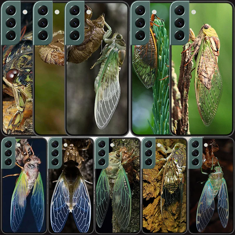 

Beautiful Ming cicada shelling Phone For Samsung Galaxy A02S A12 A22 A32 A42 A52S A72 4G 5G A03S A13 A23 A33 A53 A73 A9 A8 A7 A6