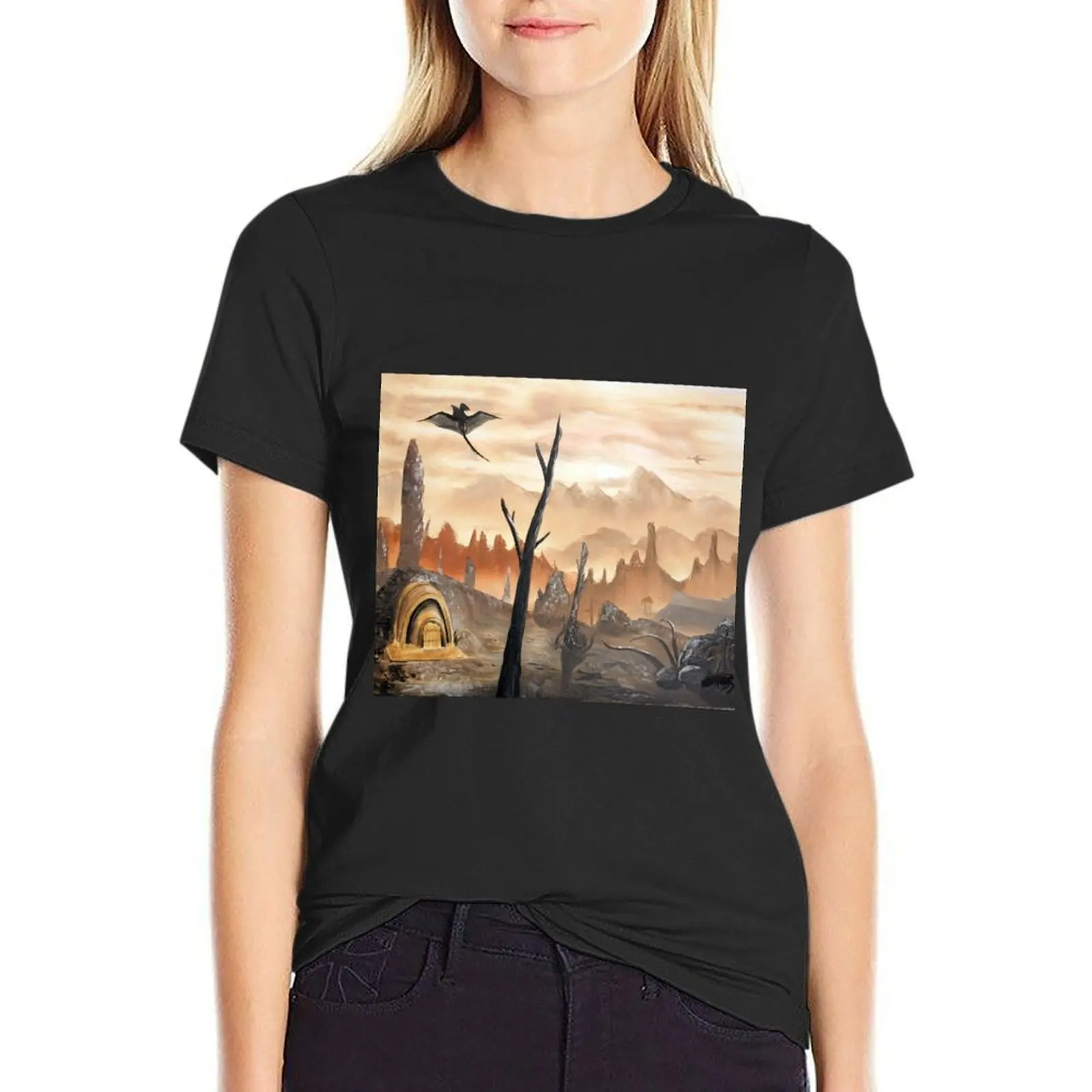 Футболка Morrowind-Ashlands индивидуальный дизайн индивидуальная Эстетическая одежда