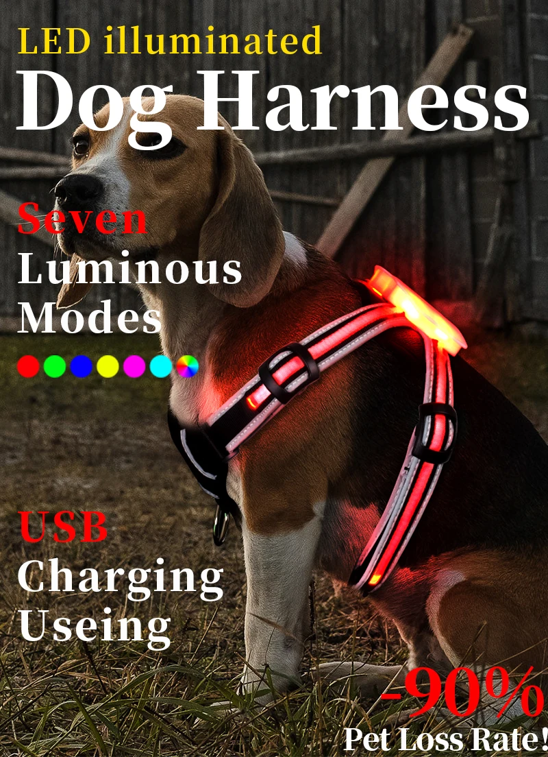 

Amazon Hot Sale Night Security LED Adjustable Dog Harness and Leash Set Pet Dog Harness Collar USB Rechargeable Nylon Lights