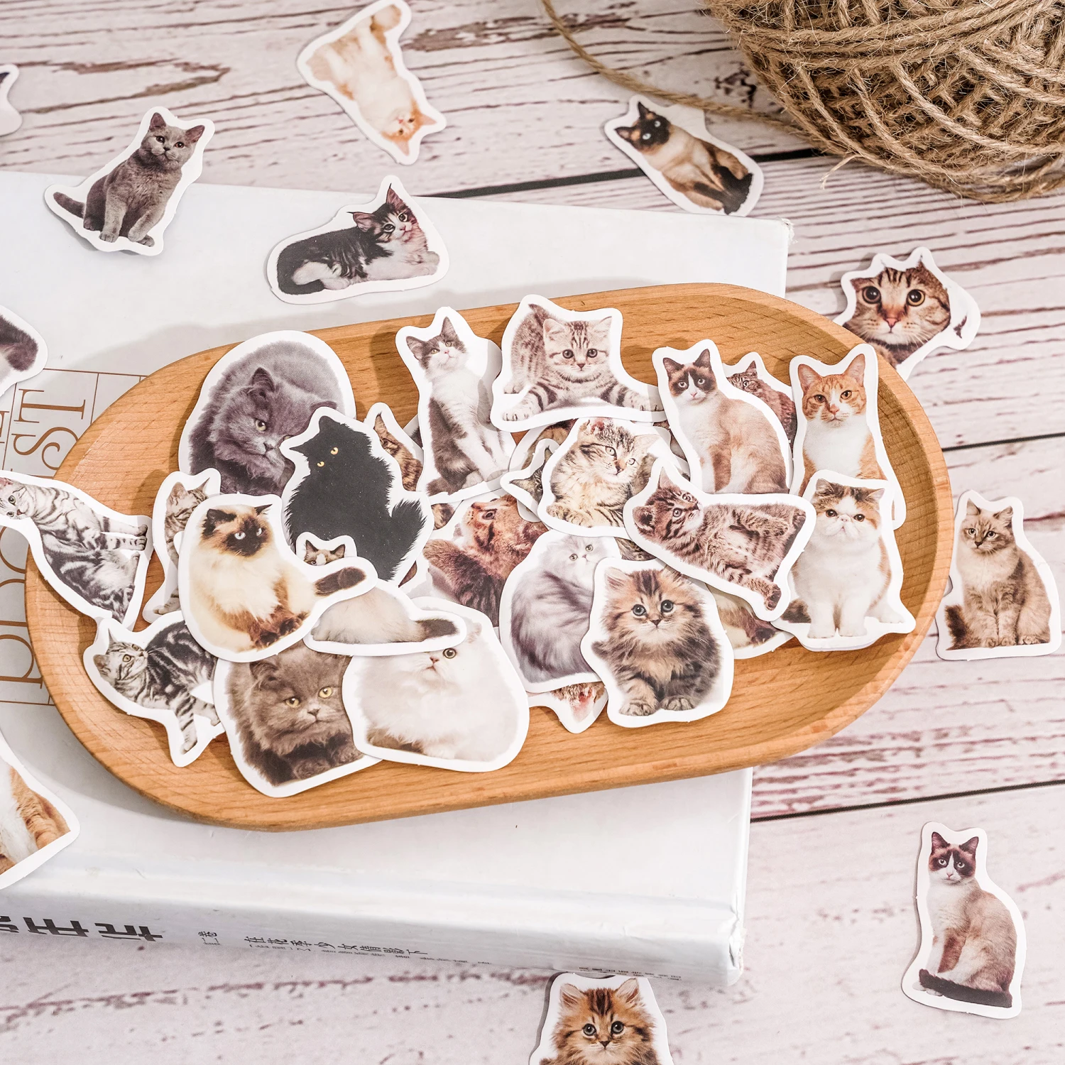 

Kawaii Cat Box Sticker Cute Decor Phone Creativity DIY Journaling Accessories Aesthetic Scrapbooking Sketchbook Collage Material