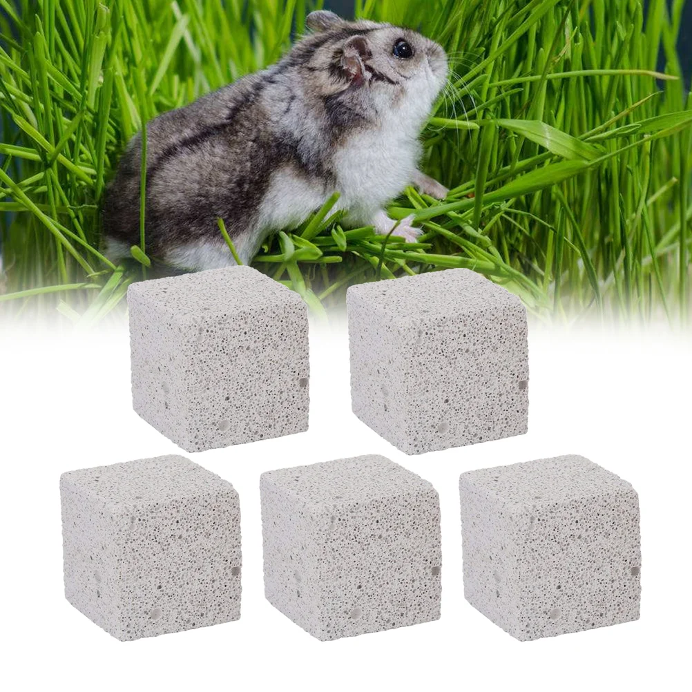 

5-Piece Chinchilla Cage Accessories Hamster Treats Hamster Grinder Rat Chews Rabbit Chew for