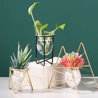 Golden Glass Vase Hydroponic Plant Vase Iron Flower Pot Desktop Home Decoration Decoration Personalized Gift