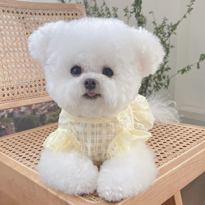 

Chihuahua Clothes Summer Dog Dress Cat Skirt Yorkshire Terrier Pomeranian Dog Clothing Puppy Doggy Costume Apparel XXS