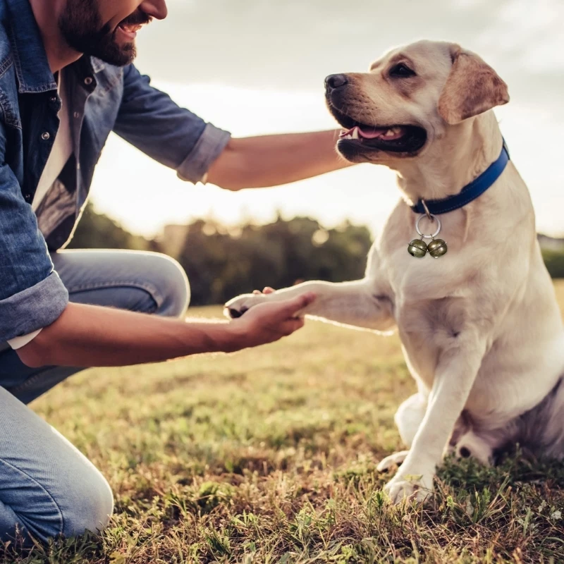 HouseholdLouds колокольчики для кошек и собак 3 комплекта вечерние декоративные