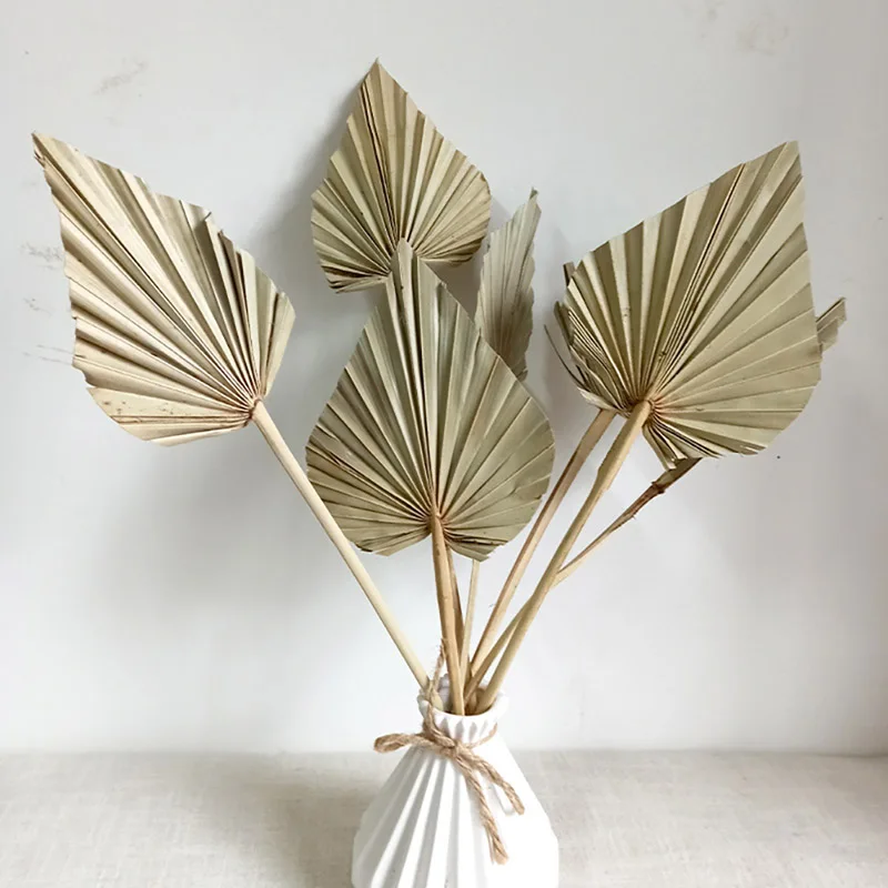

5/10 Pcs Boho Dried Palm Natural Heart-shaped Fan Home Decoration Dried Flowers