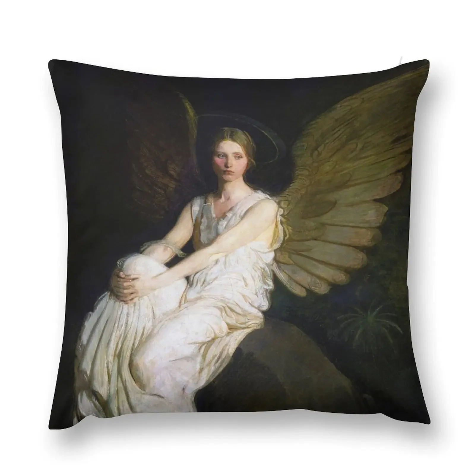 Мемориал Stevenson от Abbott Handerson Thayer 1903 декоративная подушка подушки для дивана