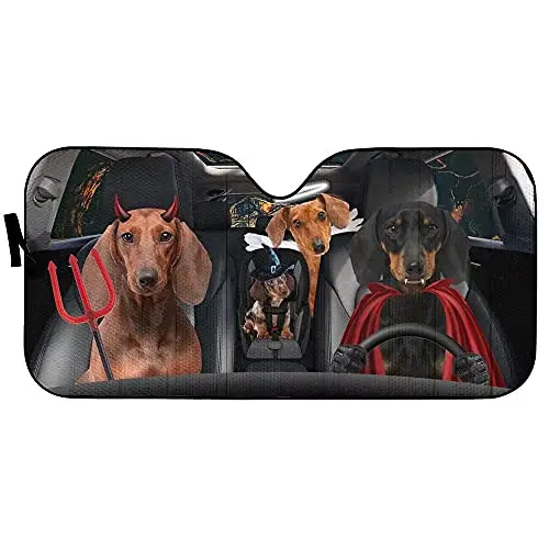 Рисунок 3 - Солнцезащитный козырек на Хэллоуин