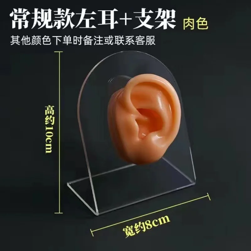 Silicone Ear Model Simulation Human Tattoo Piercing Practice Equipment Earrings Display Bracket Tasteless
