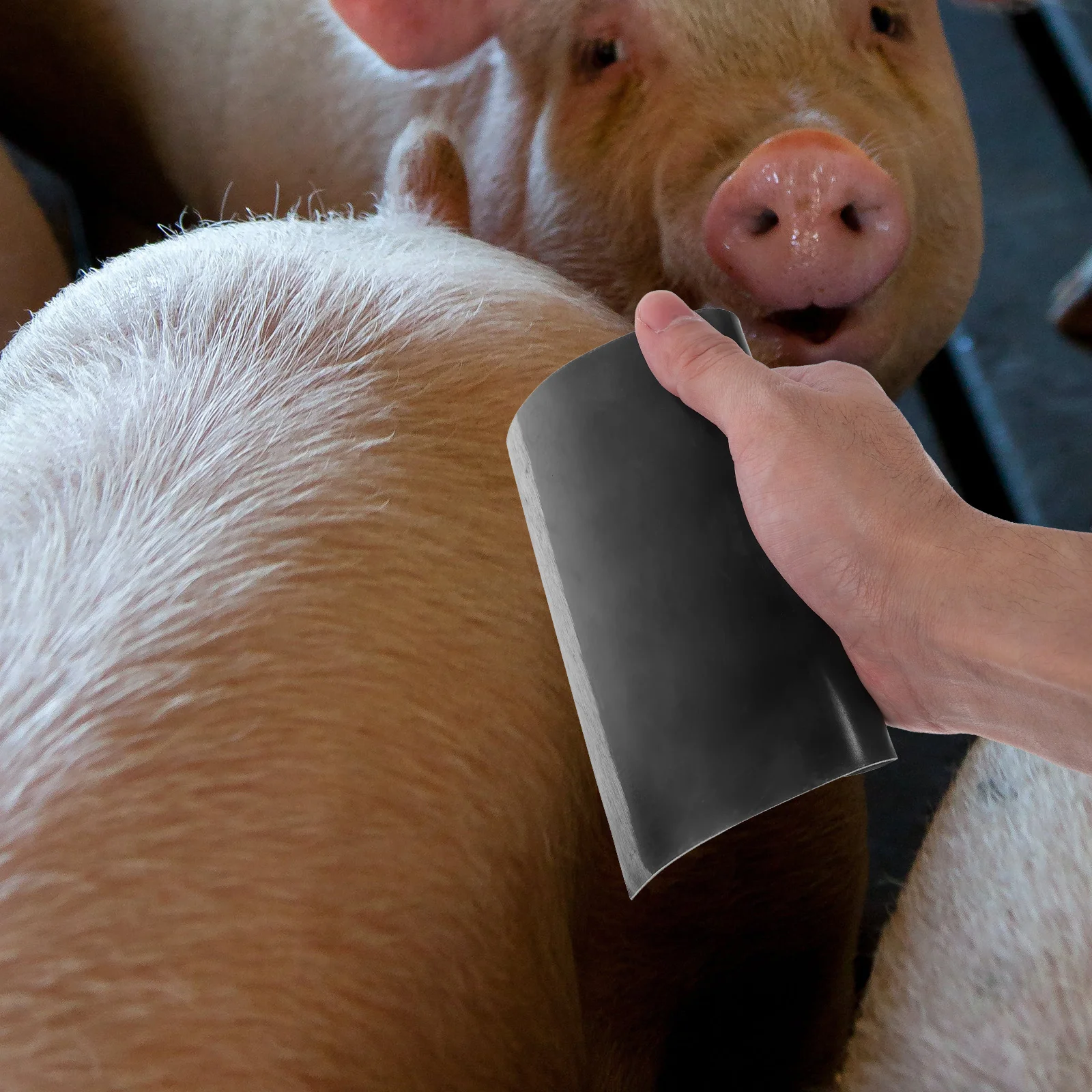 

Scraper Animal Hair Shaving Tools Plucking Multipurpose Gard Professional Remover Steel Face