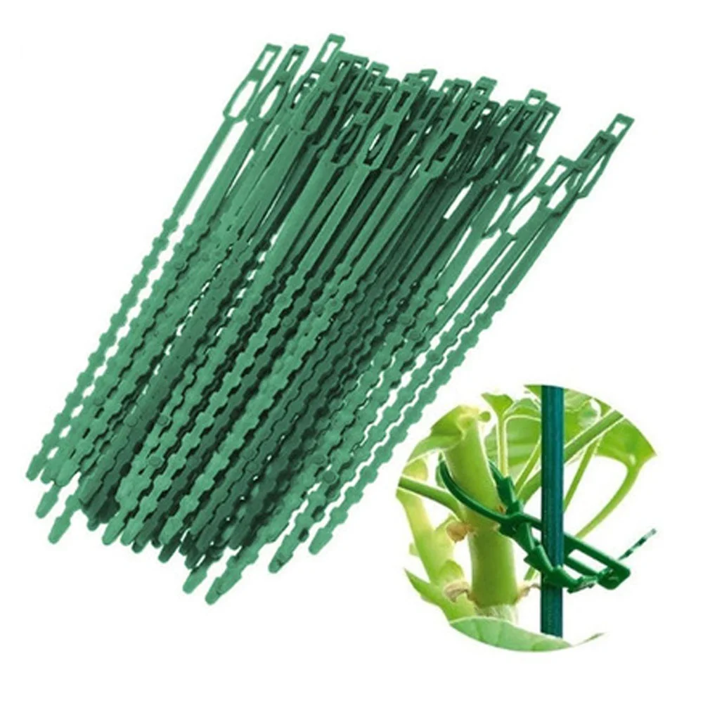 Description Picture 5 of item50 Pcs/set 13cm/17cm/23cm Reusable Garden Plant Fixed Belt Ties Plastic Adjustable Garden Plant Tying Band Tools