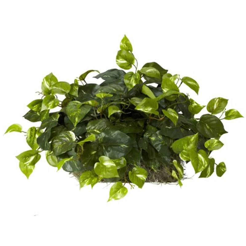 

Free shipping 15" Pothos Set on Foam Sheet Artificial Plant Green