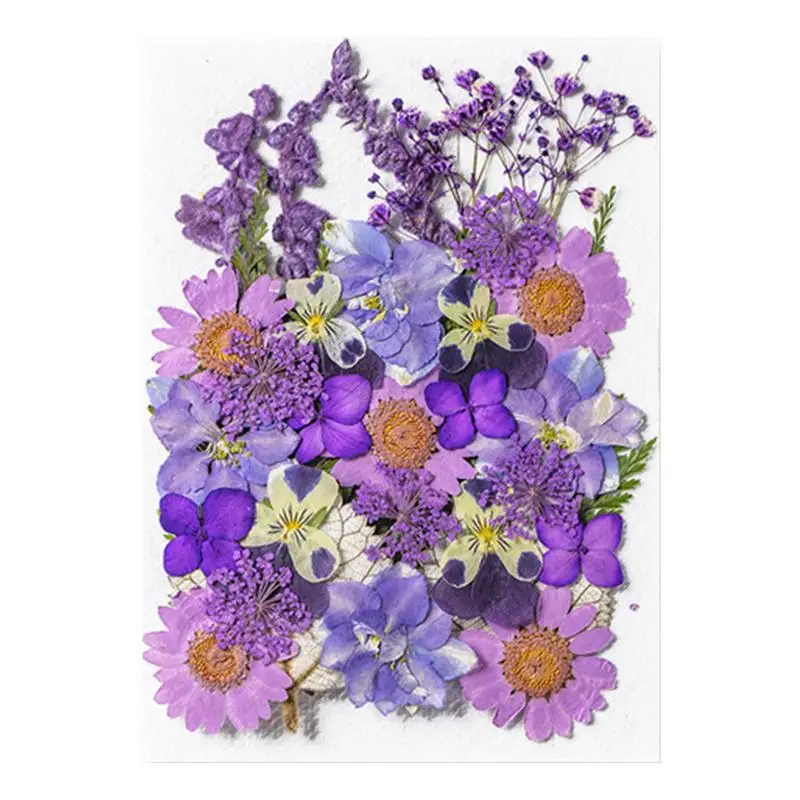 

35Pcs/Bag Vintage Dried Flowers Shop Dried Flowers Plants Handbook Real And Natural Flower Decorative Stickers