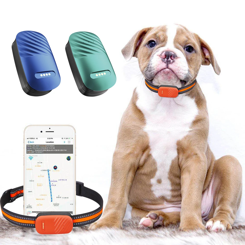 

Best selling waterproof pet GPS tracker 4G LTE real time dog cat animal GPS tracking device with free mobile APP