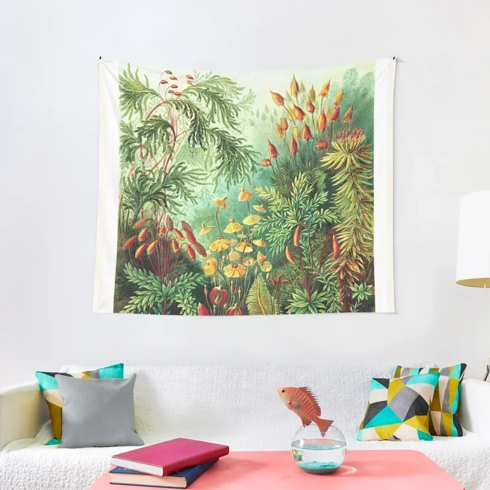 Винтажная ботаническая иллюстрация Ernst Haeckel - Muscinae гобелен