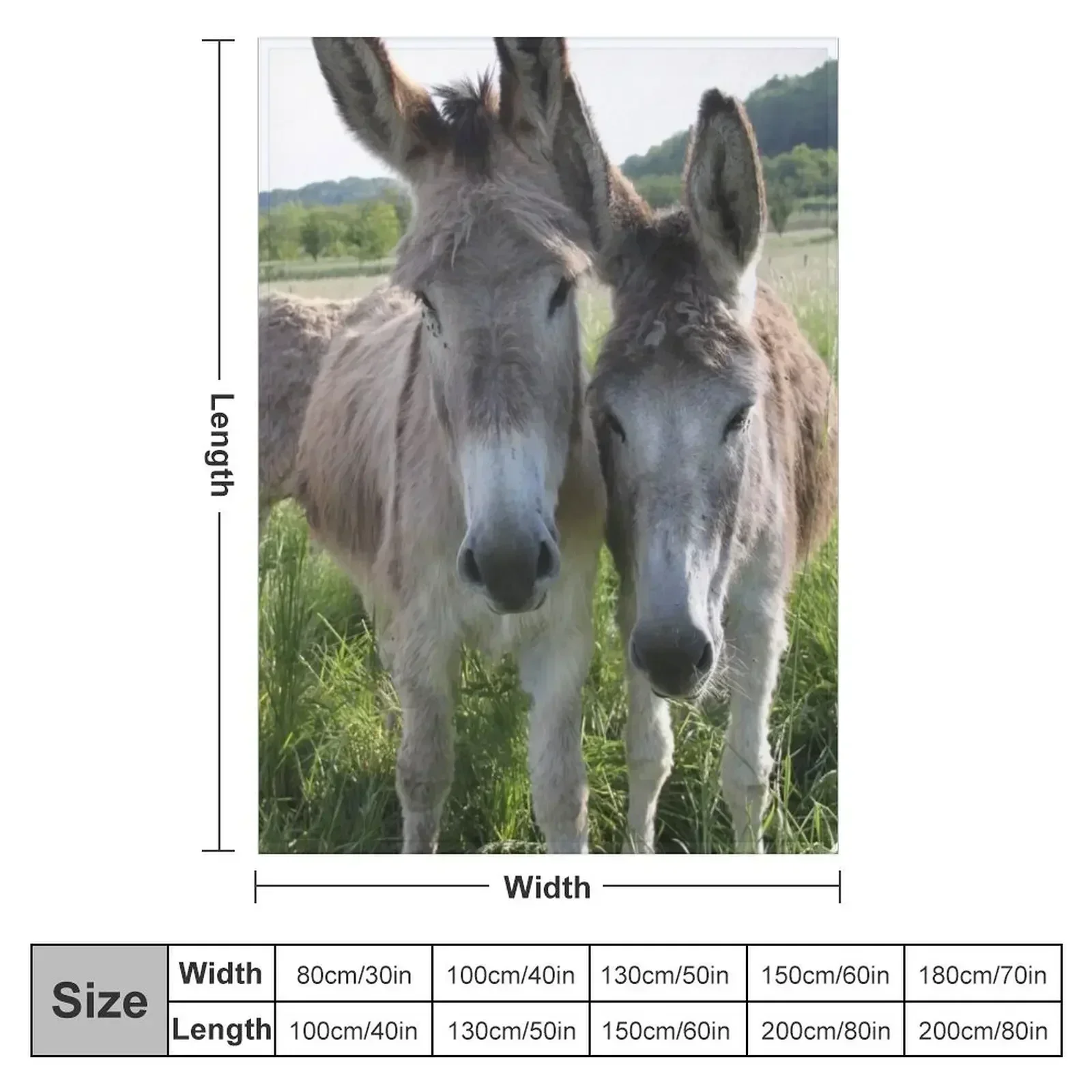 Очаровательные серые ослики в лугу с высокой травой пледы пляжное декоративное