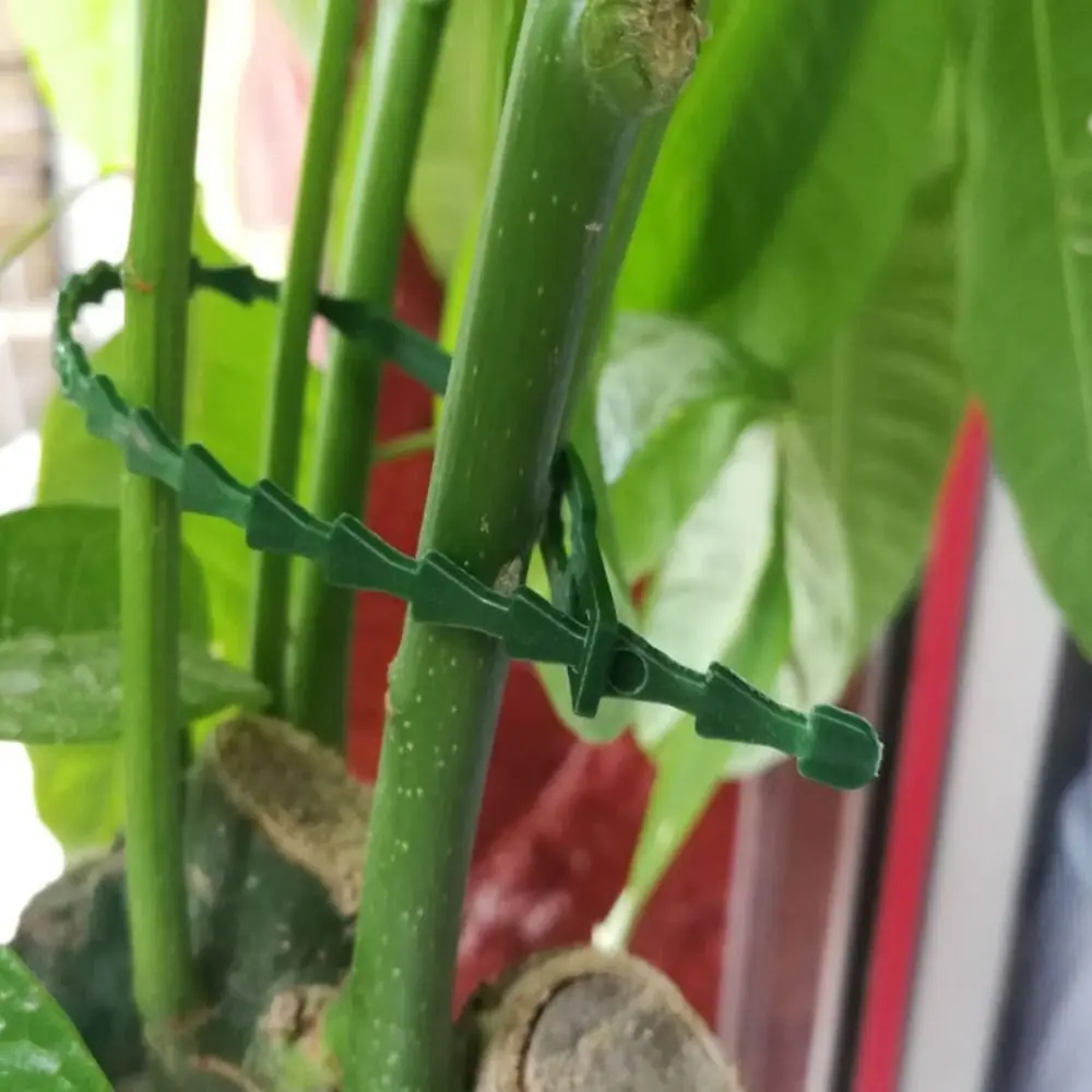 100 шт. 2024 застежка пластиковые стяжки для растений садовый самоблокирующийся