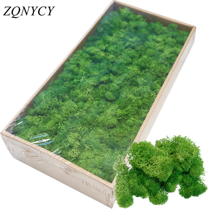 

20/40g Artificial Green Plants Eternal Life Moss Grass Home Living Room Garden Decoration Mini Landscape Fake Flower DIY Crafts