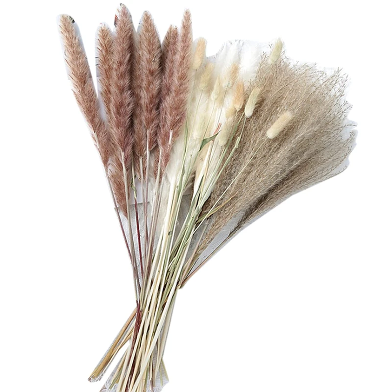 

90Pcs 17 Inch Natural Dried Pampas Grass Decor,White&Brown Pampas,For Flower Arrangements Boho Wedding Home Decor