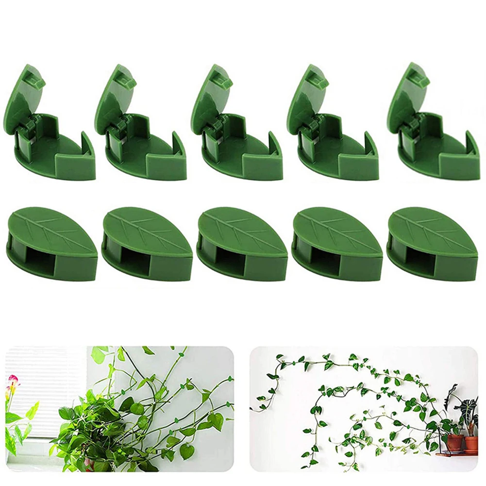 

10PCS Plant Climbing Wall Fixer Invisible Wall Vines Fixing Clip Tied Fixture Vine Buckle Hook Household Garden Traction Holder