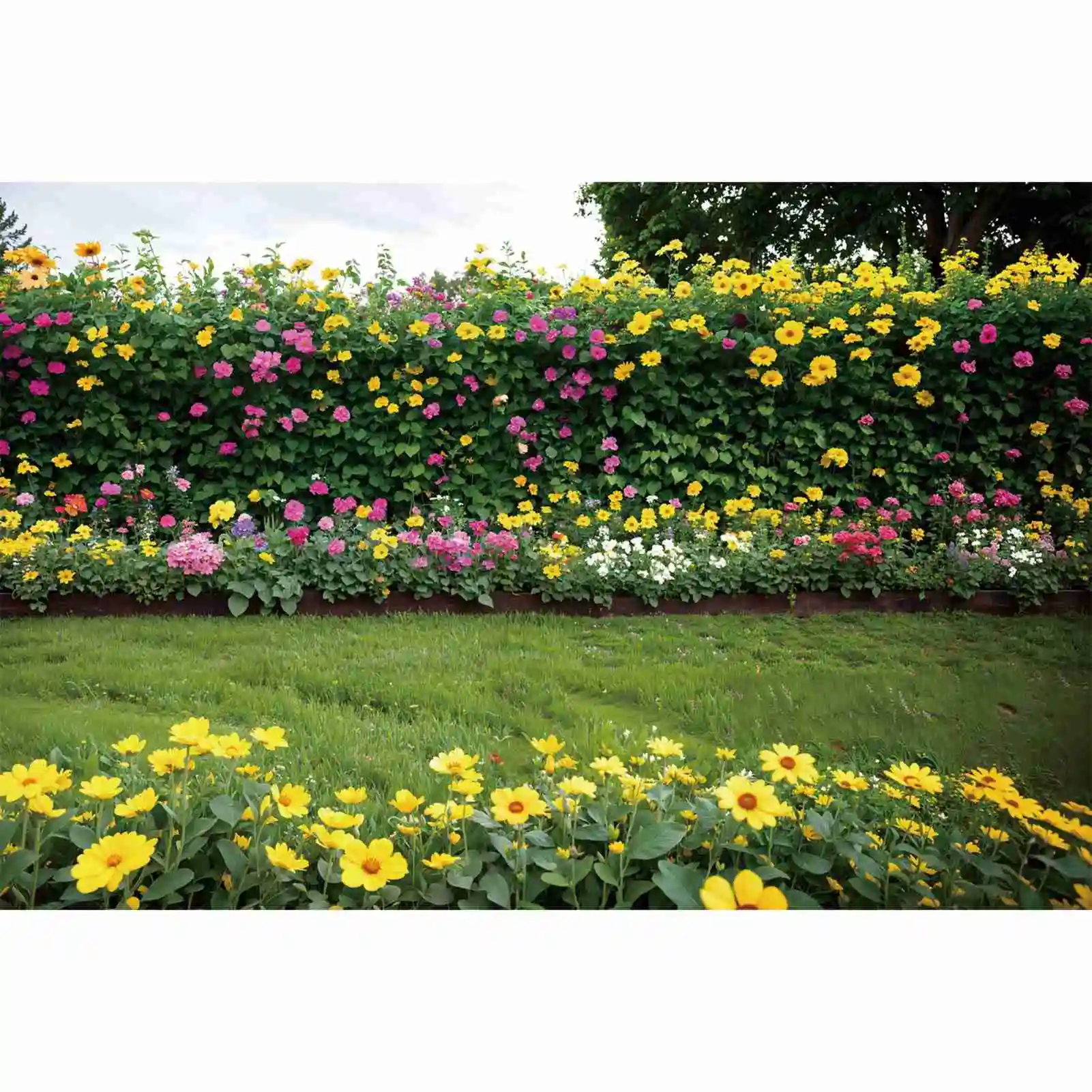

Spring Garden Scenery Backdrops Photography Flower Vine Wall Green Grassland Personalized Children'S Photo Backgrounds Banners