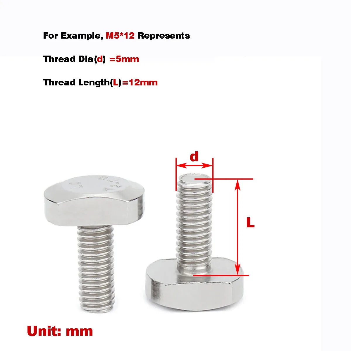 

304 Stainless Steel T-Shaped Bolt/ Screw M6M8M10