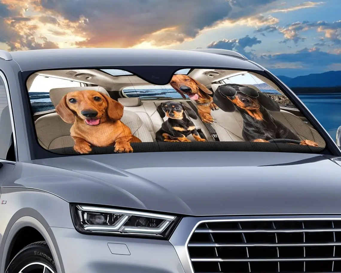 Рисунок 2 - Солнцезащитный козырек для лобового