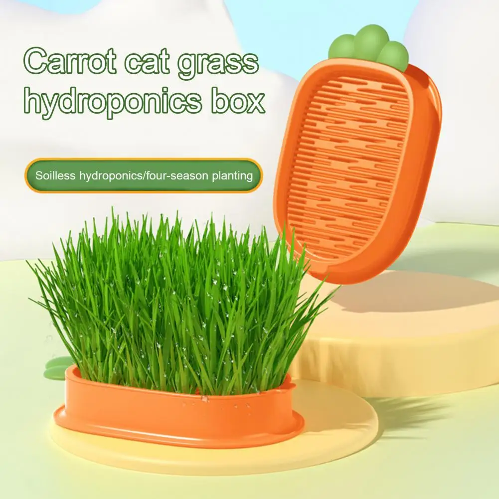 

Wheatgrass Planter Tray Double-layer Planting Box Household Cat Grass Box