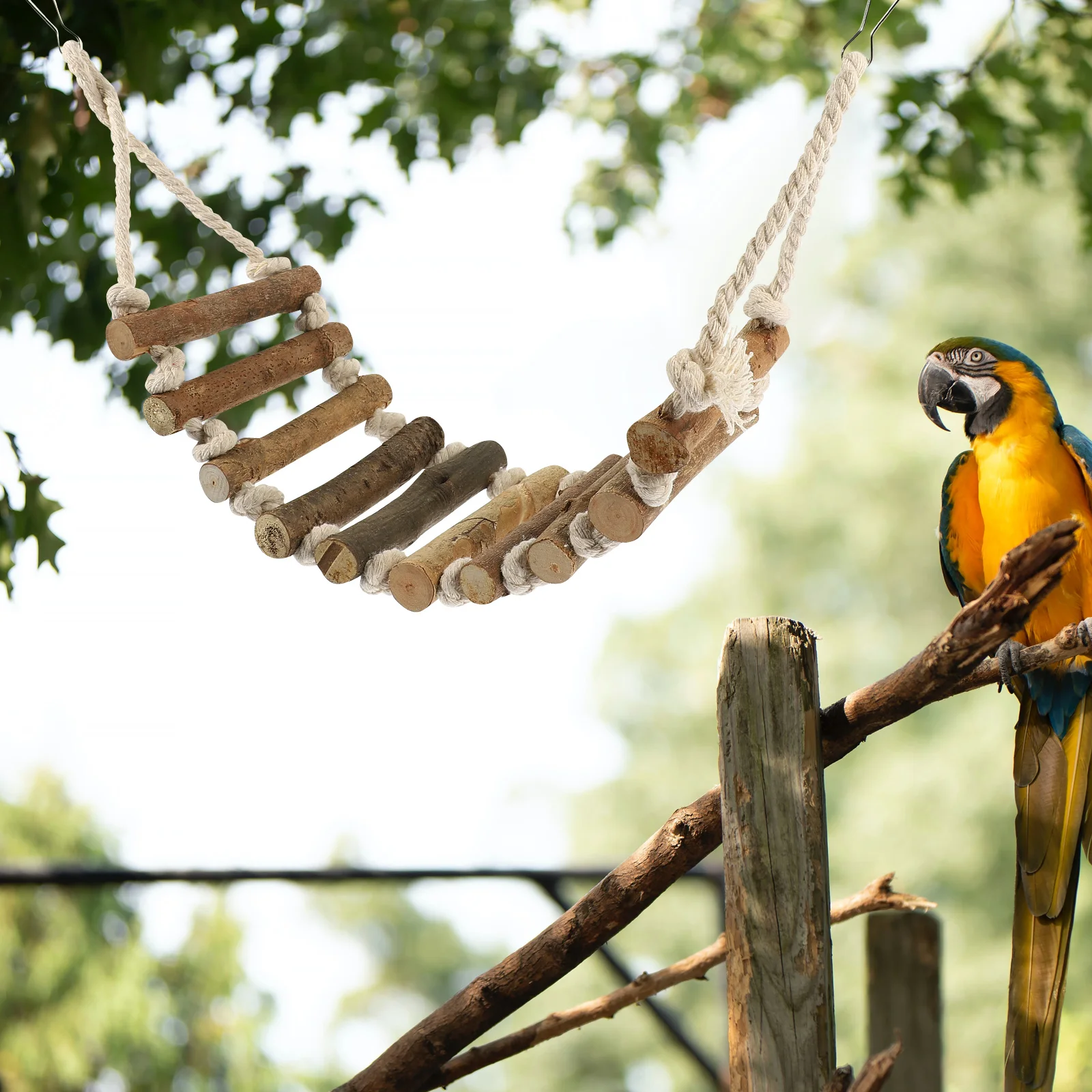 

Supplies Rope Ladder Claw Grinding Toy Birds Toys Climb Hanging Cage Wood Wooden Parakeet Accessories