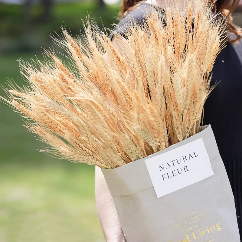 

80pcs Dried Flowers Dry Wheat Spikes Decoration Bouquet Boho Home Tables Wedding Party Halloween Decor Natural Preserved Plants