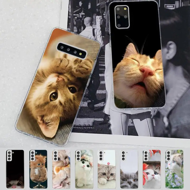 

Yinuoda Funny Cute Cat Phone Case for Samsung S21 A10 for Redmi Note 7 9 for Huawei P30Pro Honor 8X 10i cover