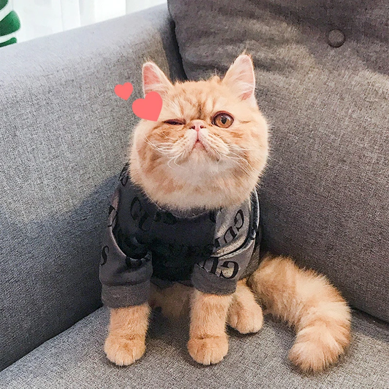 Костюм для домашних животных кошек бархатный мягкий свитер котенок щенок модное