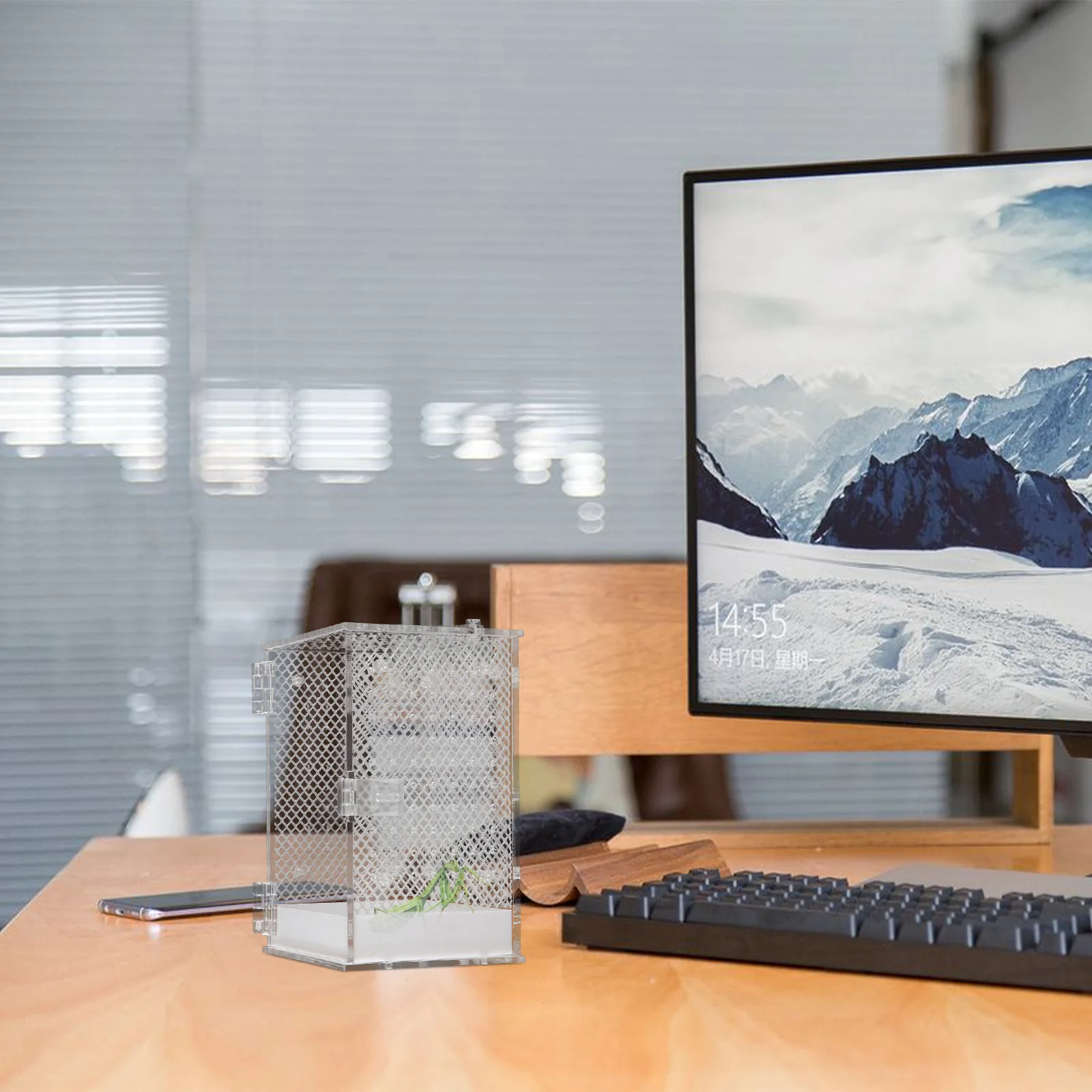 Ящик для разведения богомола белый держатель рептилий видимый чехол кормления