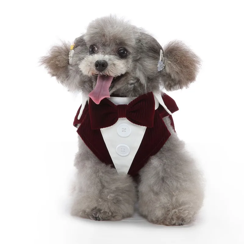 Pet Male Dog Cat Wedding Dress Boy Dog Cat Tuxedo Suits Wedding Party Costume for Dachshund Shih Tzu Puppy and Kitten Clothes
