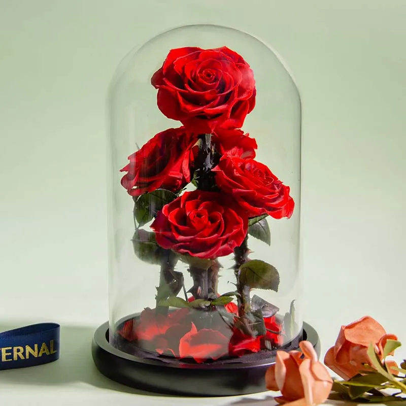 Eternal Preserved Roses In Glass Dome 5 Flower Heads Rose Forever Love Wedding Favor Mothers Day Gifts for Women Girlfriends