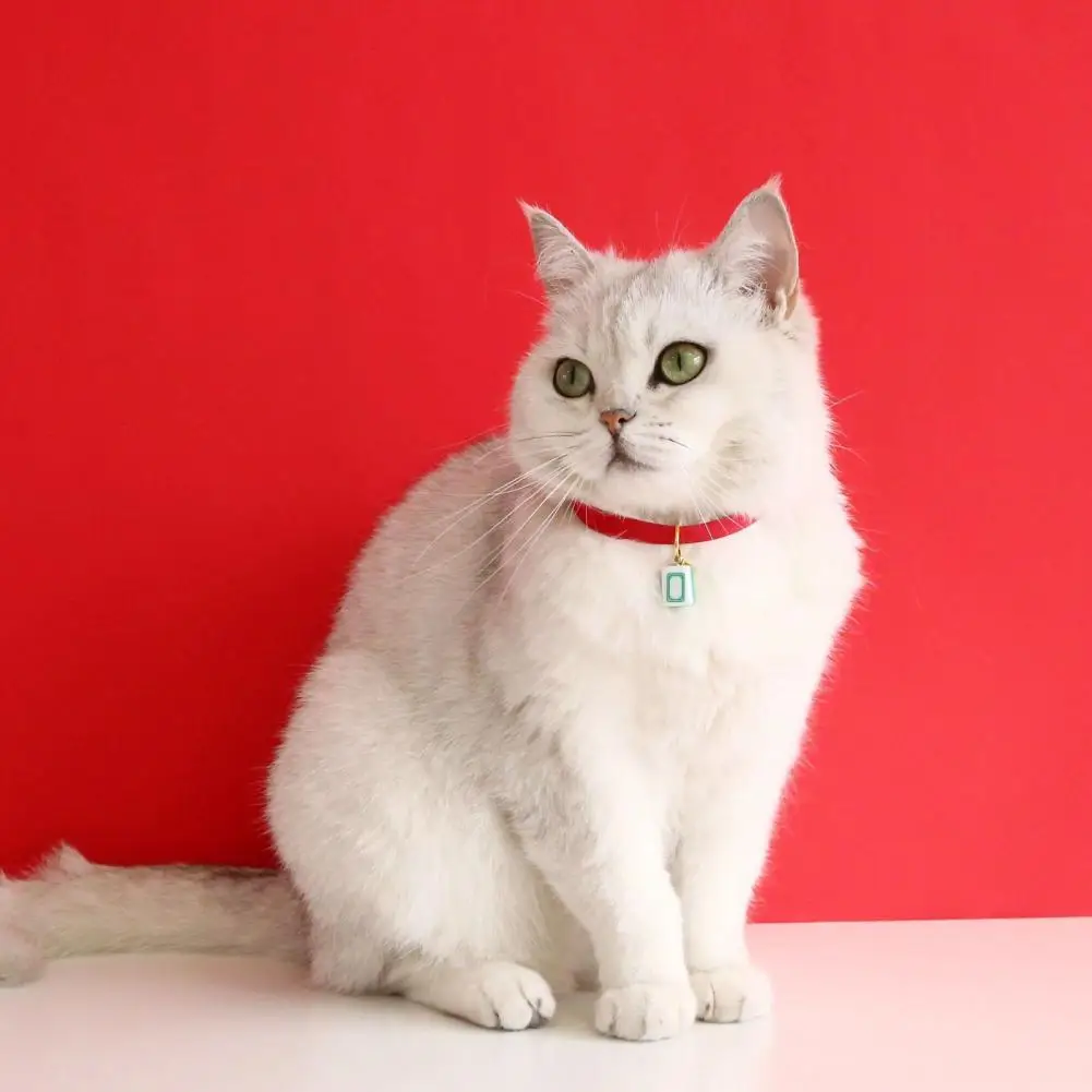 

Ошейник для домашних животных, кошек, широкое применение, ошейник для собак, забавный кролик, котенок, ожерелье для домашних животных