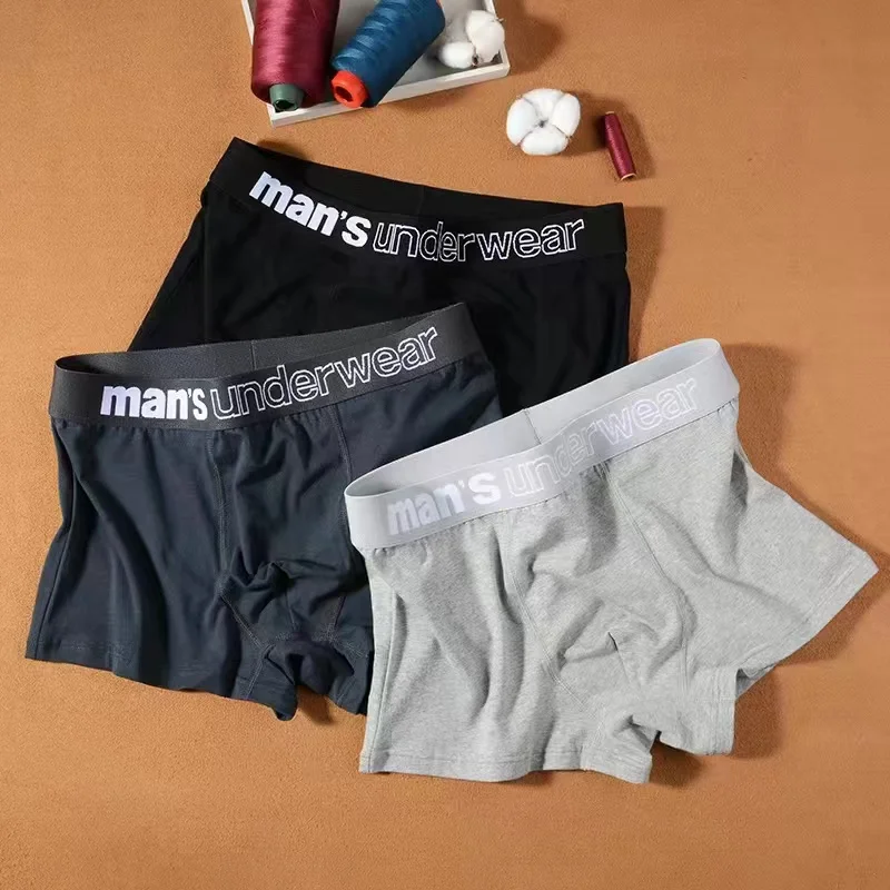 Boxer Men's Underwear Boxers  Men's Cotton Fashion Underpants  man Sport Large  flat Shorts Plus Size Underwear Boxers L-7xl