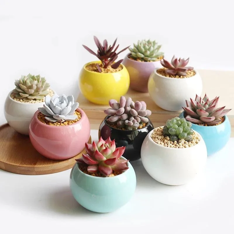 

Good Quality 10 Colors Cute Ceramic Flowerpot Vase Cactus Succulent Plants Potted Flower Arrangement Home Decoration