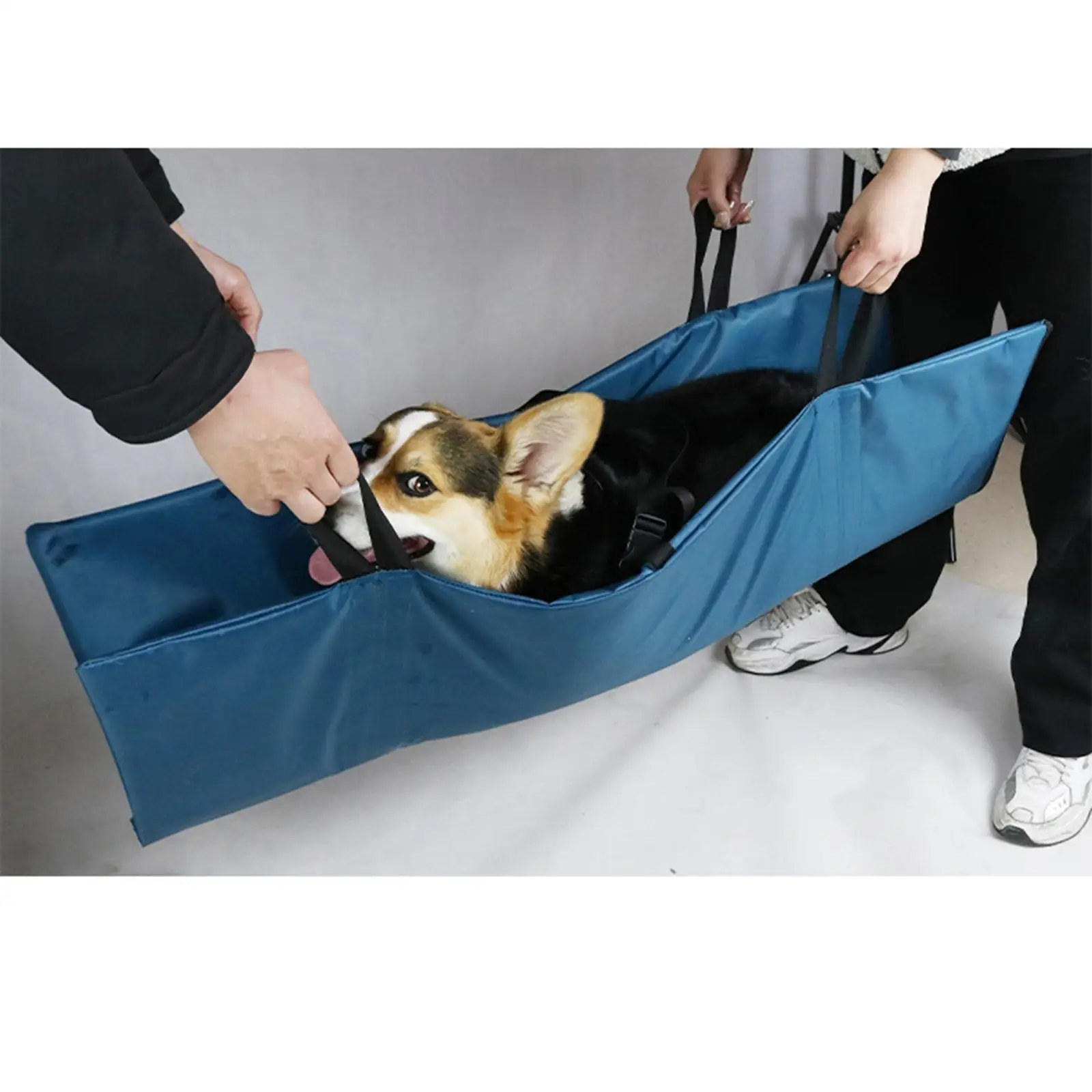 

Foldable Pet Transport Stretcher with Safety Strap Portable First Aid Rack