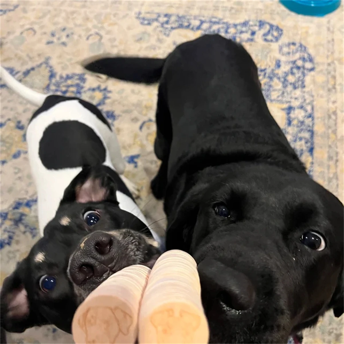 Набор из 50 коктейльных палочек с надписью Do Too и деревянной гравировкой