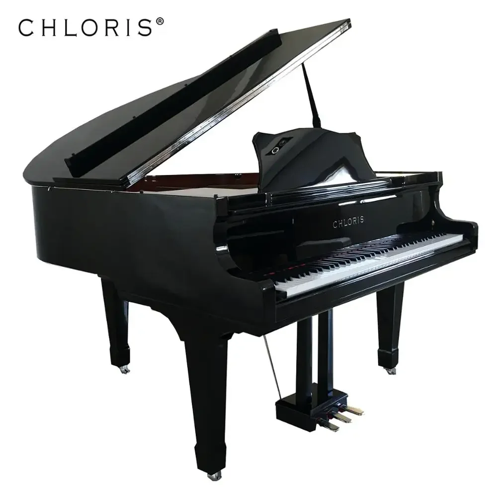 Фото Многофункциональное цифровое пианино CHLORIS с 88 клавишами, заводская цена, электронное пианино CDG-152 на продажу №2