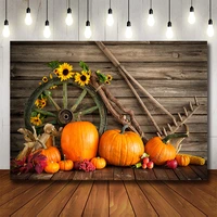 bonvvie thanksgiving day photocall backdrop autumn harvest pumpkin haystack kid portrait photography background photo studio