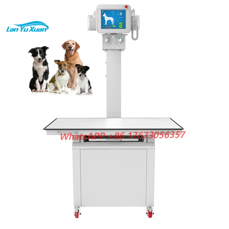

Pet Hospital Diagnostic Equipment With Flat Panel Detector Stationary X-ray Operating Machine Table Veterinary X-ray For Pet