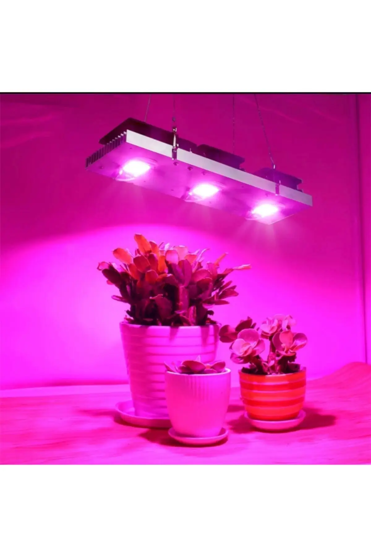 Фото - New 150w Full Spectrum Plant Growing Lamp Seedling Growing Light With Fan Anti-Heating Saving Household , Office Plant Growing growing
