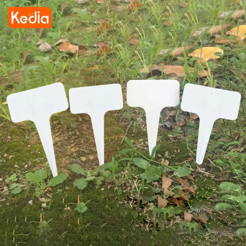 Утолщенная этикетка более для мяса цветочная карта вставка цветочного горшка