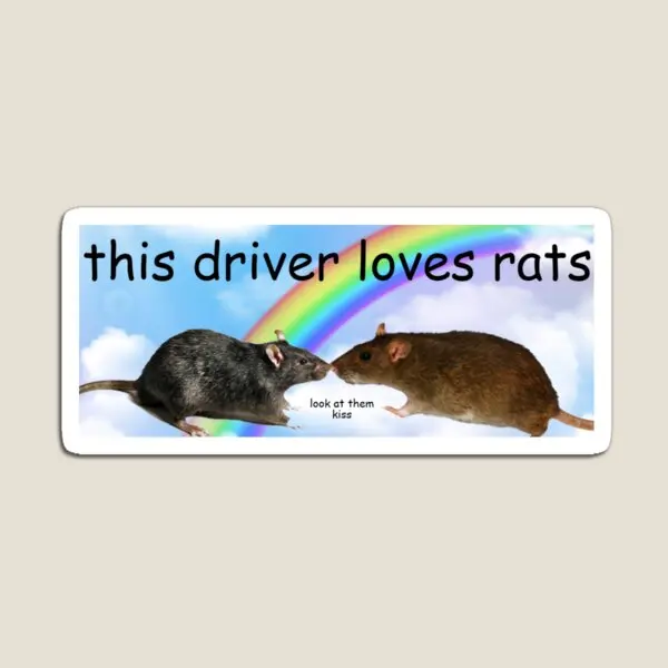 

Этот водитель любит крыс, магнитная игрушка, забавные наклейки для фото, красочные детские украшения, милый детский держатель