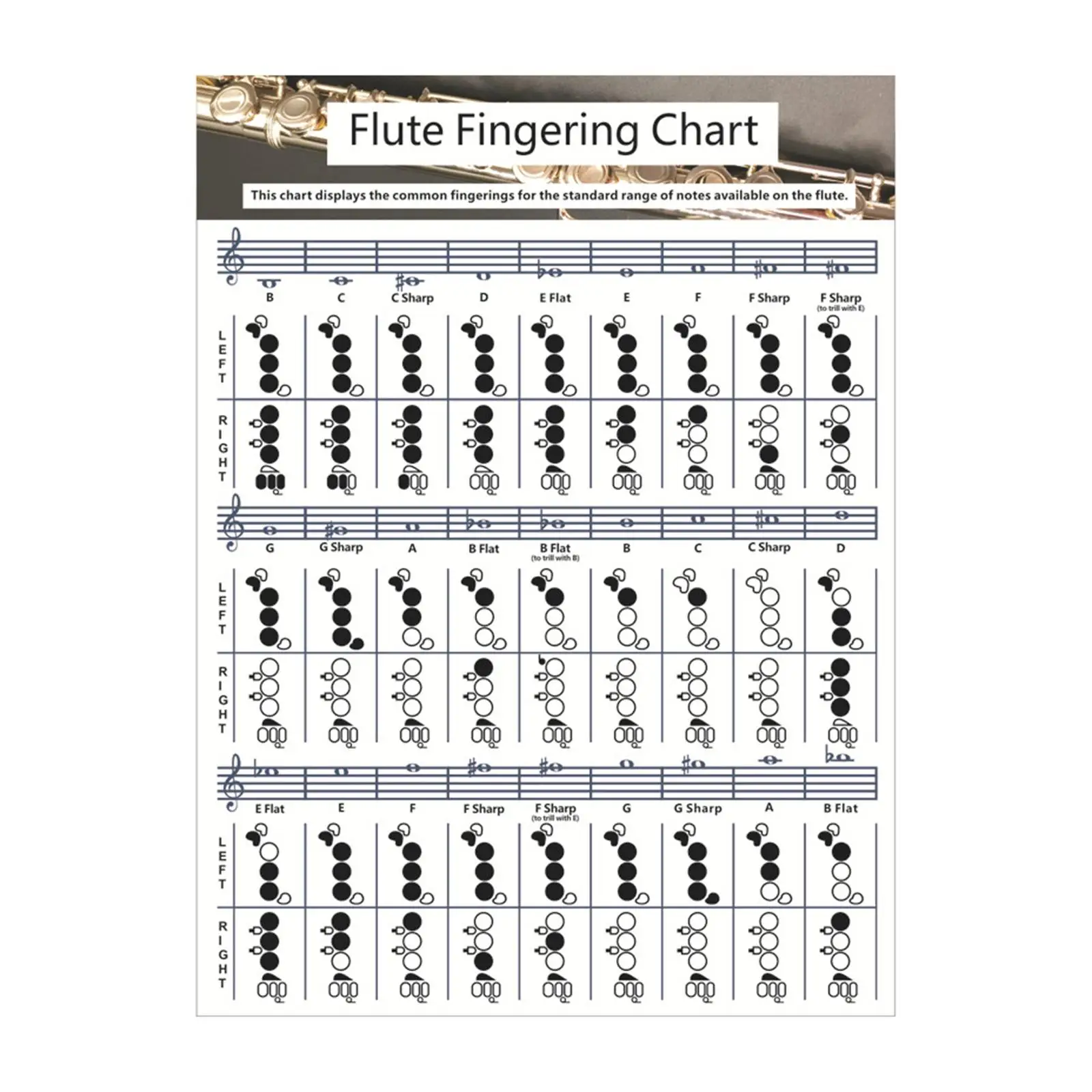 

Copper Sheet Flute Chart Practice Educational Practical Musical Useful Music s Poster for Starter Beginner Learning