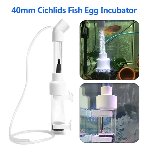 Инкубатор 40 мм, рыбный инкубатор, инкубатор для аквариума, цихлиды, инкубатор для яиц